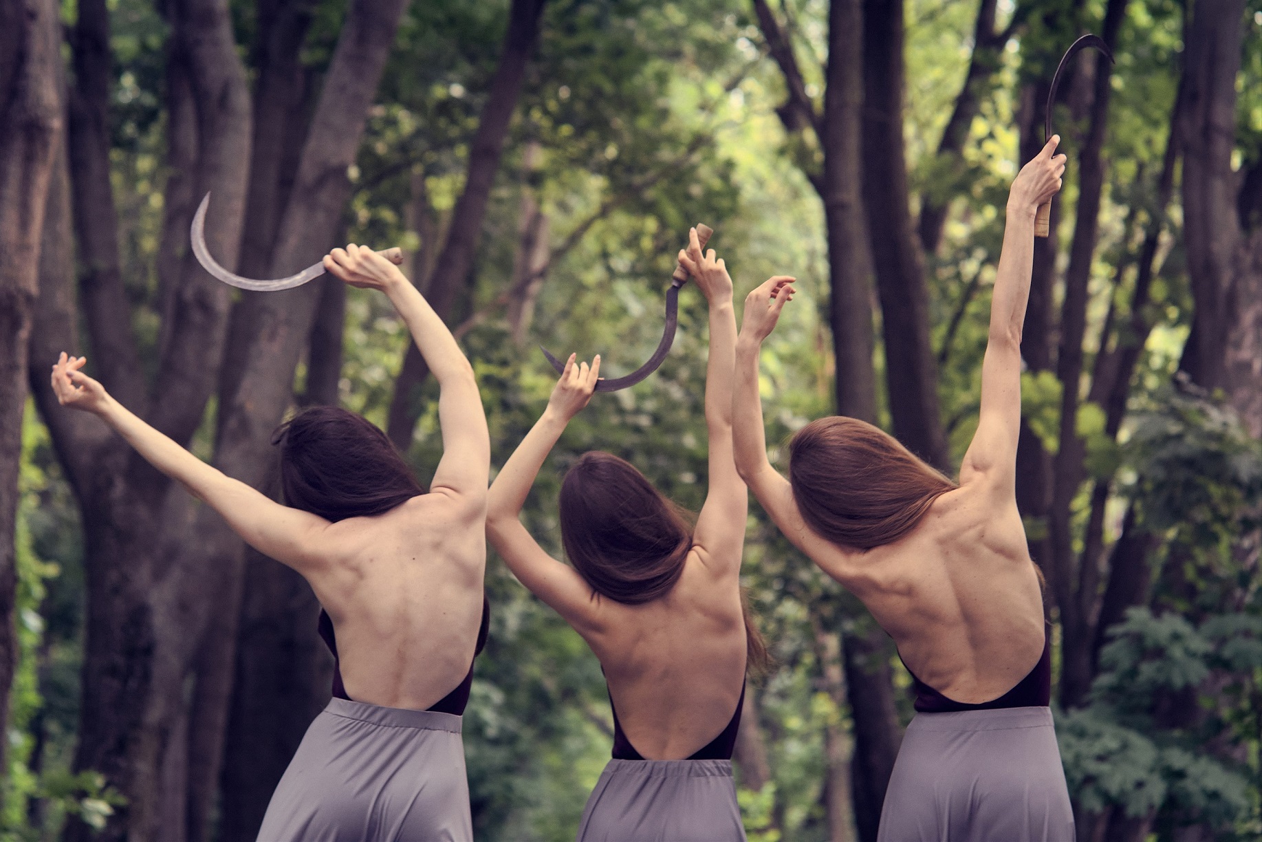 Ethno Contemporary Ballett